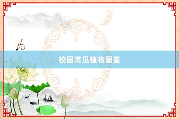 校园常见植物图鉴