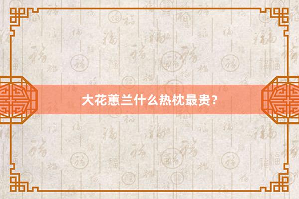 大花蕙兰什么热枕最贵？
